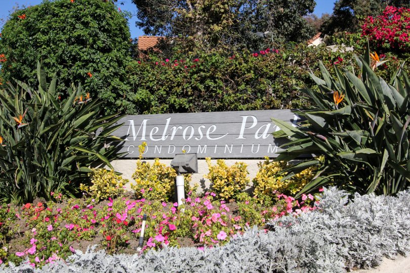 Melrose Park Vista CA